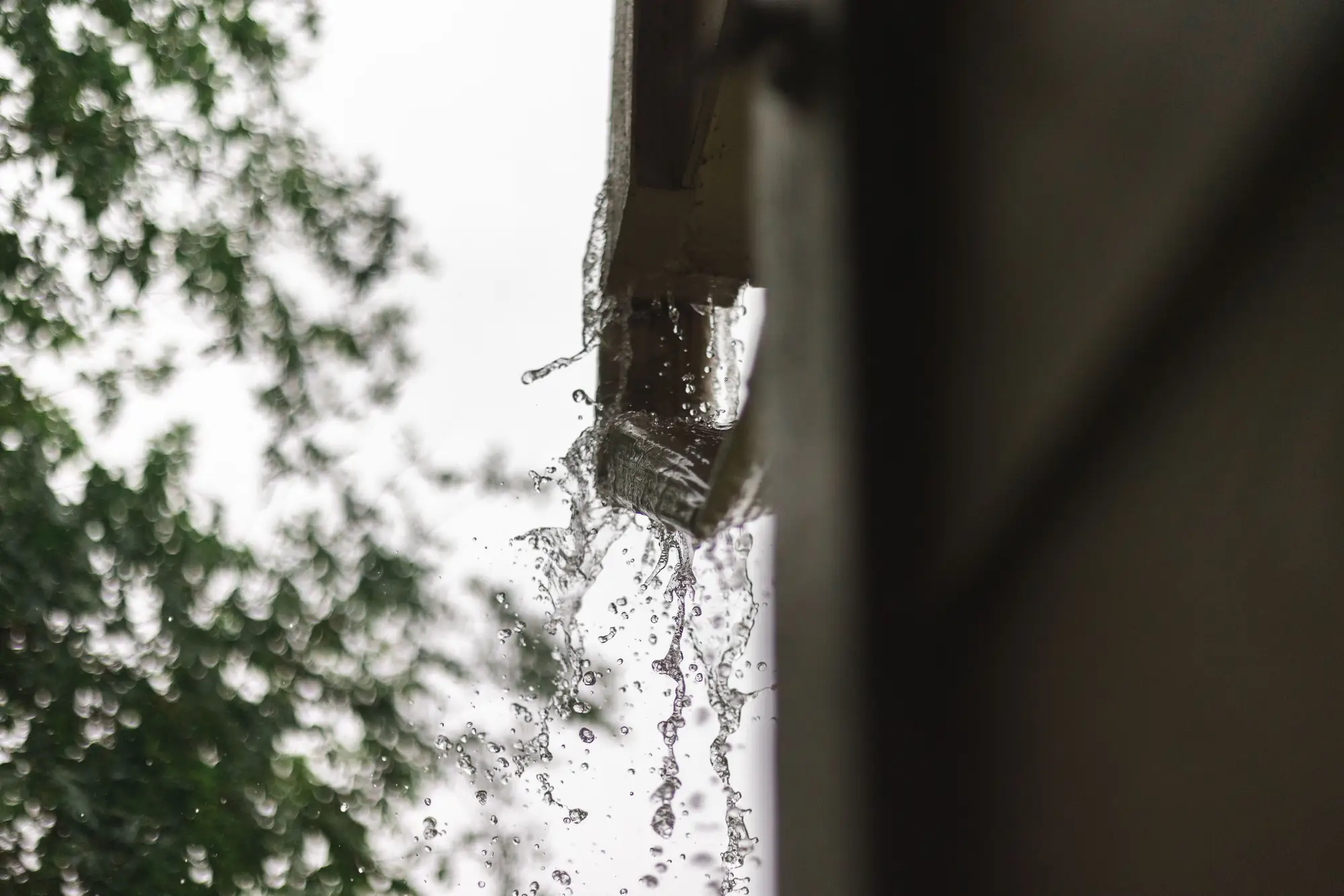 Rainwater pouring off the end of a house gutter during a storm